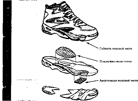 ������ �. - ���������� �� ����������������� �������� ���� �����