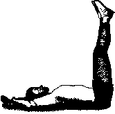 ����������������� �����

