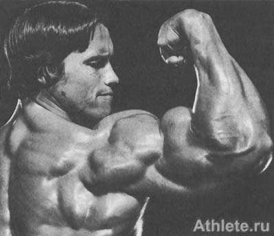 Шварценеггер - Новая Энциклопедия Бодибилдинга - Кн.3