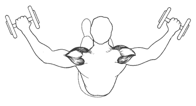 Если держать руки с гантелями перед собой, передняя головка дельтовидной мышцы начинает работать вместо задней.