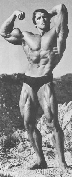 Шварценеггер - Новая Энциклопедия Бодибилдинга - Кн.3