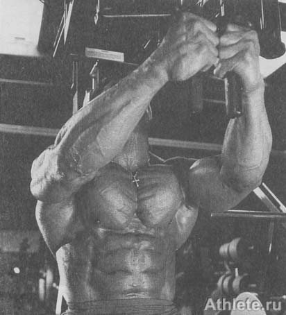 ������������ - ����� ������������ ������������ - ��.3