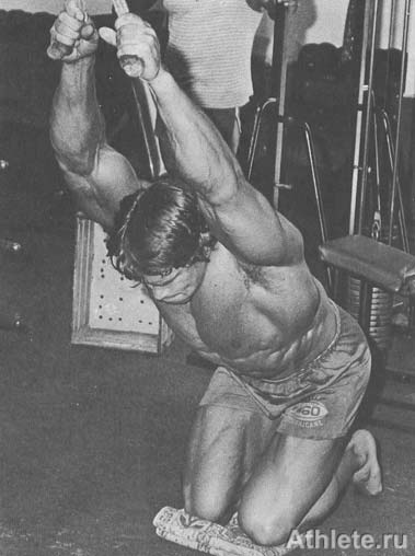 Шварценеггер - Новая Энциклопедия Бодибилдинга - Кн.3