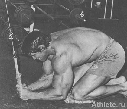 ������������ - ����� ������������ ������������ - ��.3