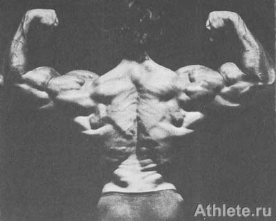 Шварценеггер - Новая Энциклопедия Бодибилдинга - Кн.3