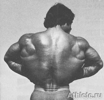 Шварценеггер - Новая Энциклопедия Бодибилдинга - Кн.3