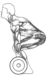 Когда вы начинаете становую тягу с поднятой головой и выпрямленной спиной, то позволяете ягодичным мышцам, мышцам ног и нижней части спины тянуть штангу вверх с максимальным усилием.