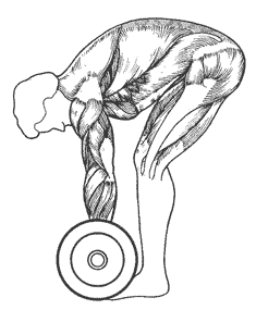 Становая тяга штанги с согнутой спиной означает, что нижняя часть спины принимает на себя большую часть первоначальной нагрузки при подъеме штанги. Это опасно.