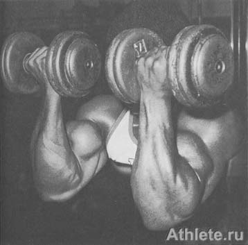 ������������ - ����� ������������ ������������ - ��.3