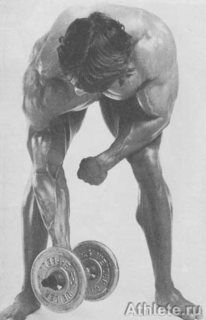 Шварценеггер - Новая Энциклопедия Бодибилдинга - Кн.3