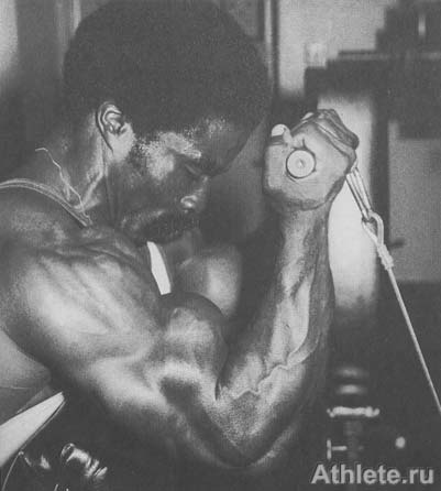 ������������ - ����� ������������ ������������ - ��.3