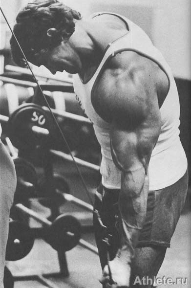 Шварценеггер - Новая Энциклопедия Бодибилдинга - Кн.3