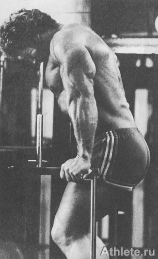 Шварценеггер - Новая Энциклопедия Бодибилдинга - Кн.3