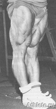 Шварценеггер - Новая Энциклопедия Бодибилдинга - Кн.3