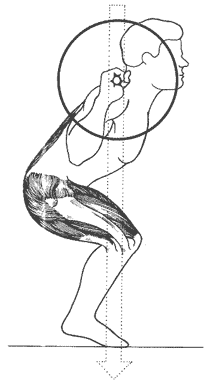 Если вы выносите голову и верхнюю часть туловища вперед, как показано здесь, то подвергаете дополнительной нагрузке нижнюю часть спины и снимаете нагрузку с бедер, где она действительно необходима. Эта ошибка чаще встречается у длинноногих культуристов.