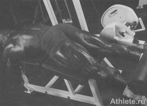 Шварценеггер - Новая Энциклопедия Бодибилдинга - Кн.3