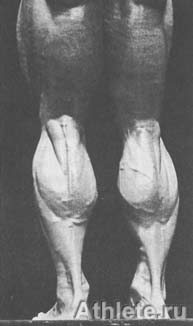 Шварценеггер - Новая Энциклопедия Бодибилдинга - Кн.3