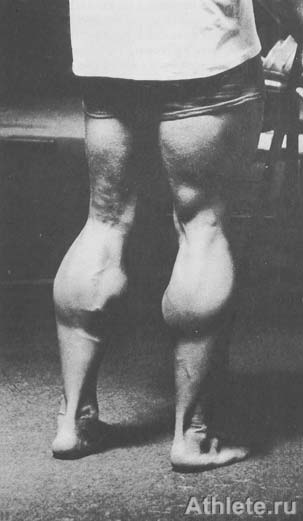 Шварценеггер - Новая Энциклопедия Бодибилдинга - Кн.3