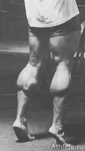 Шварценеггер - Новая Энциклопедия Бодибилдинга - Кн.3