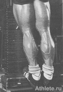 Шварценеггер - Новая Энциклопедия Бодибилдинга - Кн.3