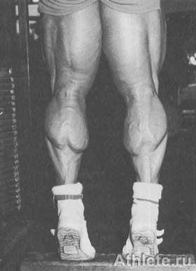 Шварценеггер - Новая Энциклопедия Бодибилдинга - Кн.3