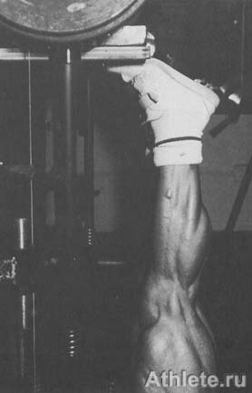 Шварценеггер - Новая Энциклопедия Бодибилдинга - Кн.3