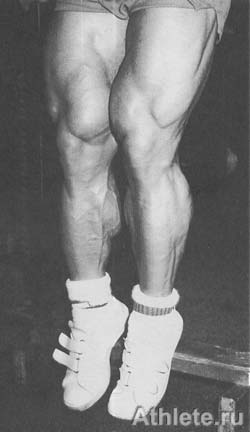 Шварценеггер - Новая Энциклопедия Бодибилдинга - Кн.3