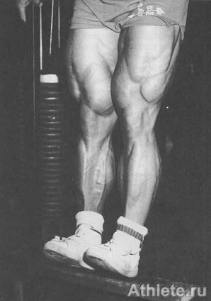 Шварценеггер - Новая Энциклопедия Бодибилдинга - Кн.3