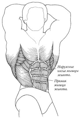 ����� ������: �������� ����� ����� ������, ������ ����� ������