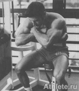 ������������ - ����� ������������ ������������ - ��.3