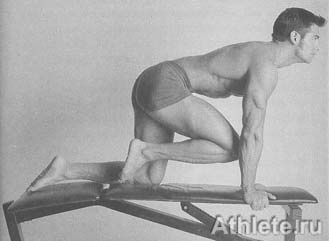 Шварценеггер - Новая Энциклопедия Бодибилдинга - Кн.3