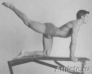 Шварценеггер - Новая Энциклопедия Бодибилдинга - Кн.3