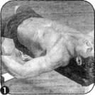 Брунгардт - Идеальные Мышцы Груди И Плечевого Пояса