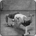 Брунгардт - Идеальные Мышцы Груди И Плечевого Пояса