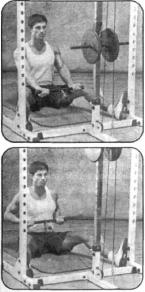 Брунгардт - Идеальные Мышцы Груди И Плечевого Пояса