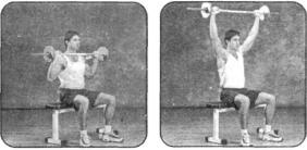 Брунгардт - Идеальные Мышцы Груди И Плечевого Пояса