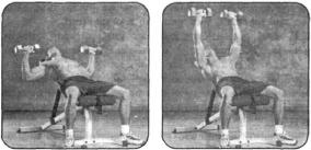 Брунгардт - Идеальные Мышцы Груди И Плечевого Пояса