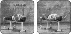 Брунгардт - Идеальные Мышцы Груди И Плечевого Пояса