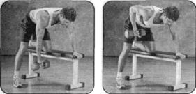 Брунгардт - Идеальные Мышцы Груди И Плечевого Пояса