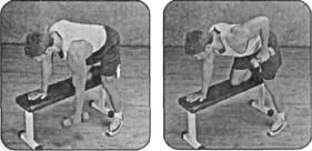 Брунгардт - Идеальные Мышцы Груди И Плечевого Пояса