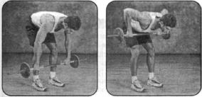 Брунгардт - Идеальные Мышцы Груди И Плечевого Пояса