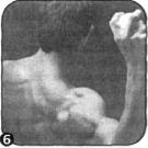 Брунгардт - Идеальные Мышцы Груди И Плечевого Пояса