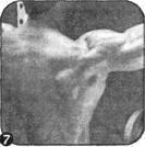 Брунгардт - Идеальные Мышцы Груди И Плечевого Пояса