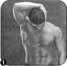 Брунгардт - Идеальные Мышцы Груди И Плечевого Пояса