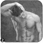 Брунгардт - Идеальные Мышцы Груди И Плечевого Пояса