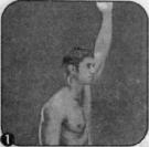 Брунгардт - Идеальные Мышцы Груди И Плечевого Пояса