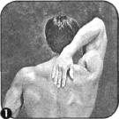 Брунгардт - Идеальные Мышцы Груди И Плечевого Пояса