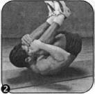 Брунгардт - Идеальные Мышцы Груди И Плечевого Пояса