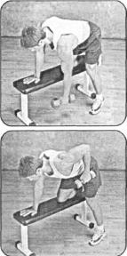 Брунгардт - Идеальные Мышцы Груди И Плечевого Пояса