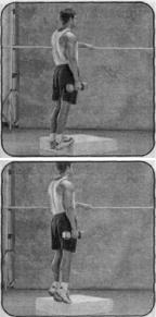 Брунгардт - Идеальные Мышцы Груди И Плечевого Пояса